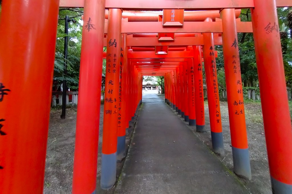 参道の鳥居