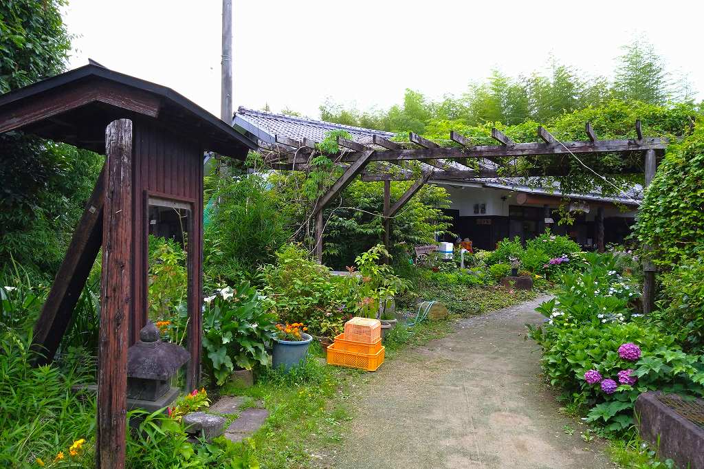 駐車場からお店へ続く庭