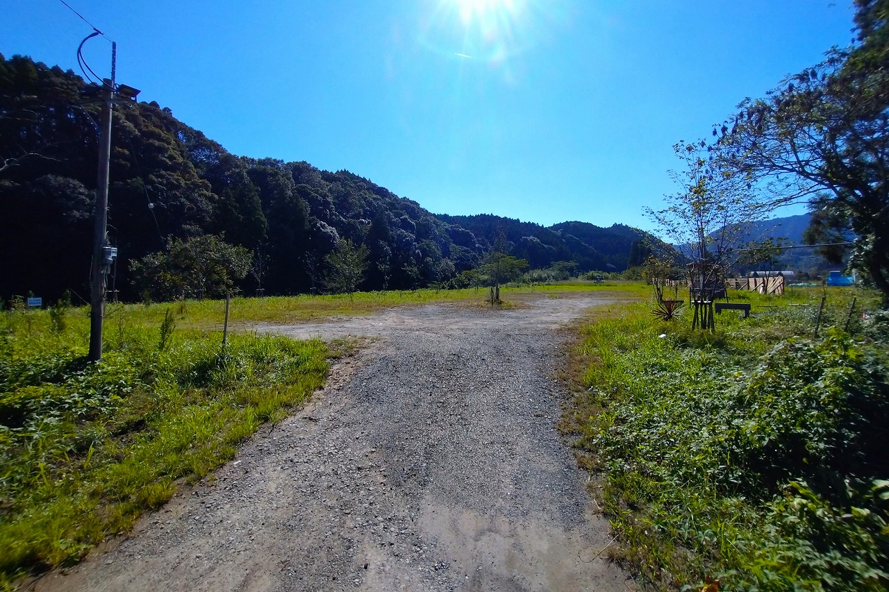 入り口から見たキャンプ場の全景