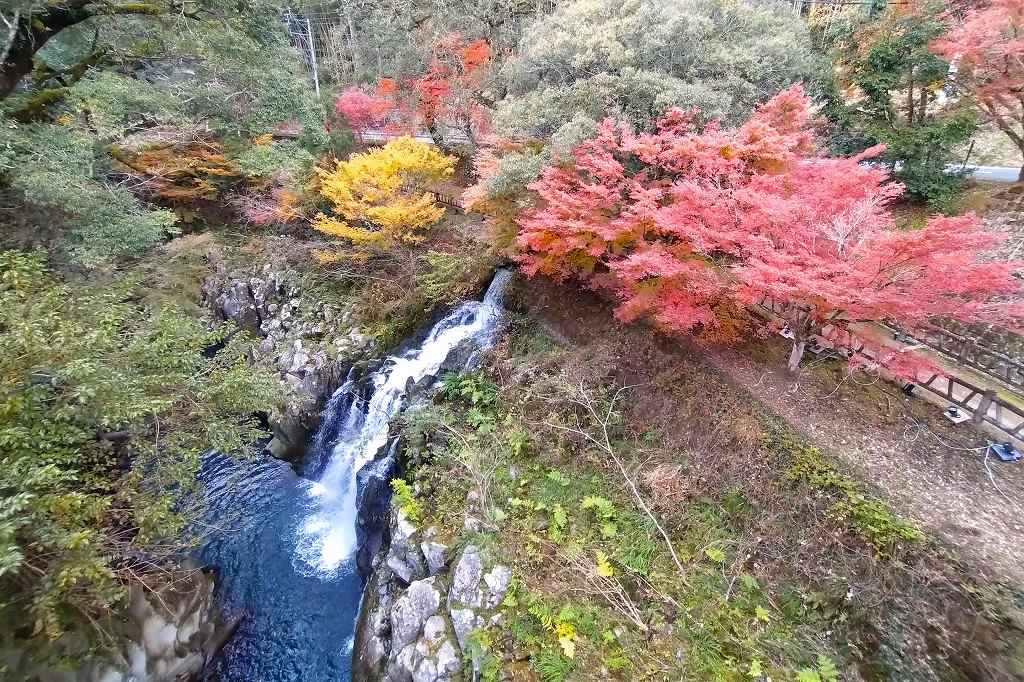 橋から見下ろす紅葉の風景