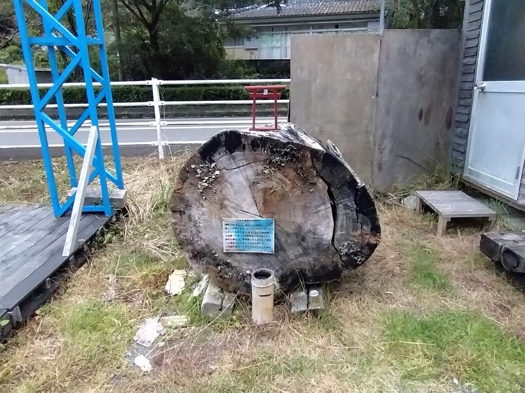 下赤天満神社の御神木